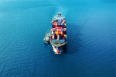 Sea Freight 